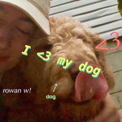 i <3 my dog