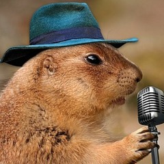 Little Indie September 2019 Playlist