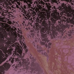 REC 33. With amazing band.