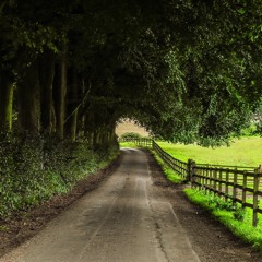 O vos omnes (unedited)- Tomás Luis de Victoria