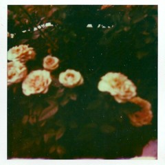 Весна из чужого окна