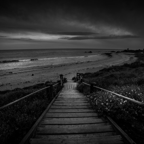 Organic Minimal Sessions 010 - Room323