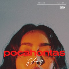 Ty Visionary - Pocahontas