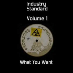 Industry Standard - I Refuse (What You Want) (feat. Damon Trueitt)