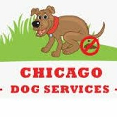 professional ​pet waste removal near me