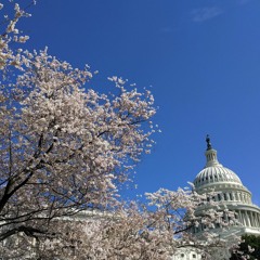 Washington DC (again)