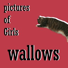 Wallows - Pictures of girls (instrumental cover)
