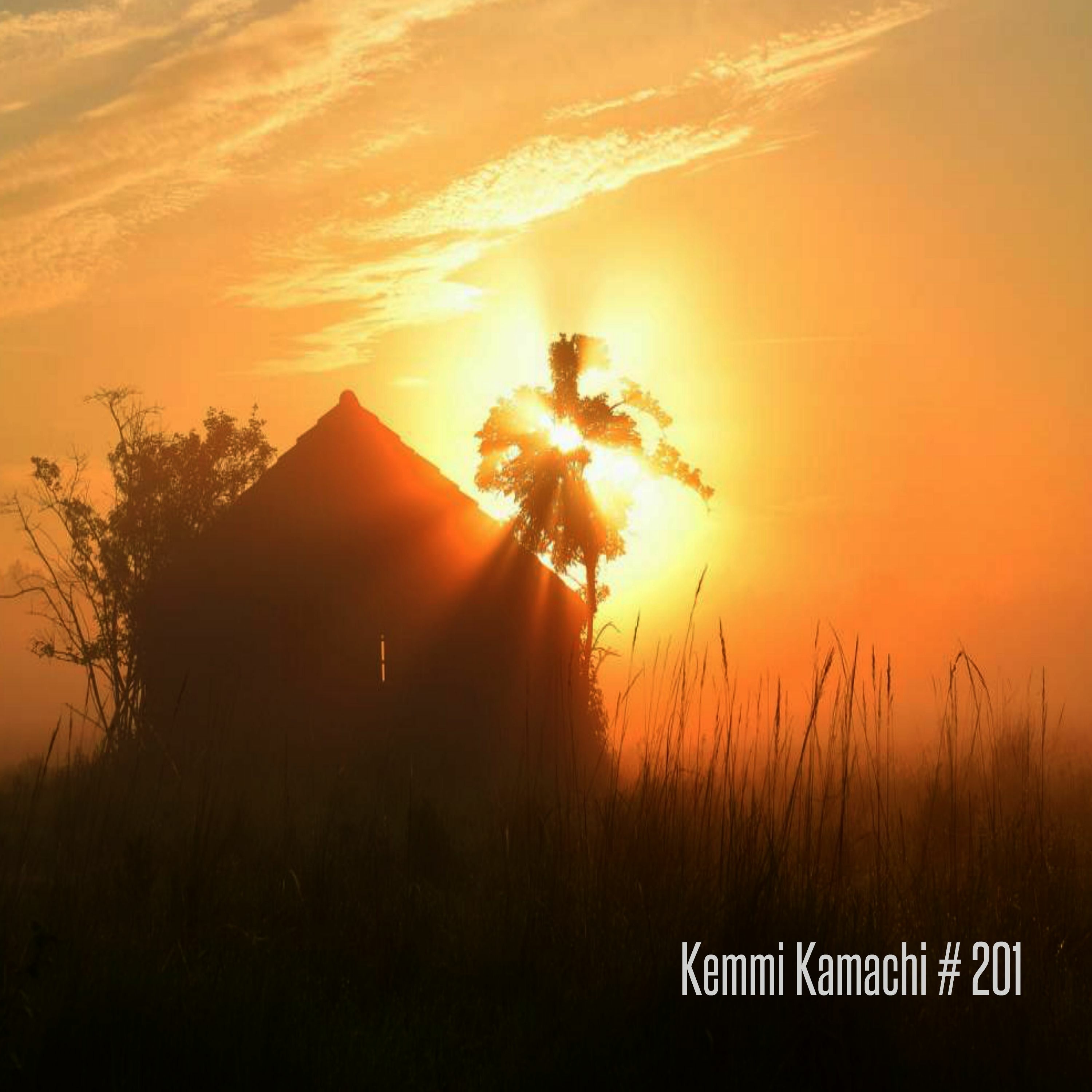 Kemmi Kamachi