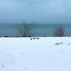 Viktor Bürkland Trio - Adios