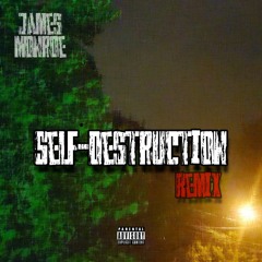 Self Destruction (Boogie Remix)