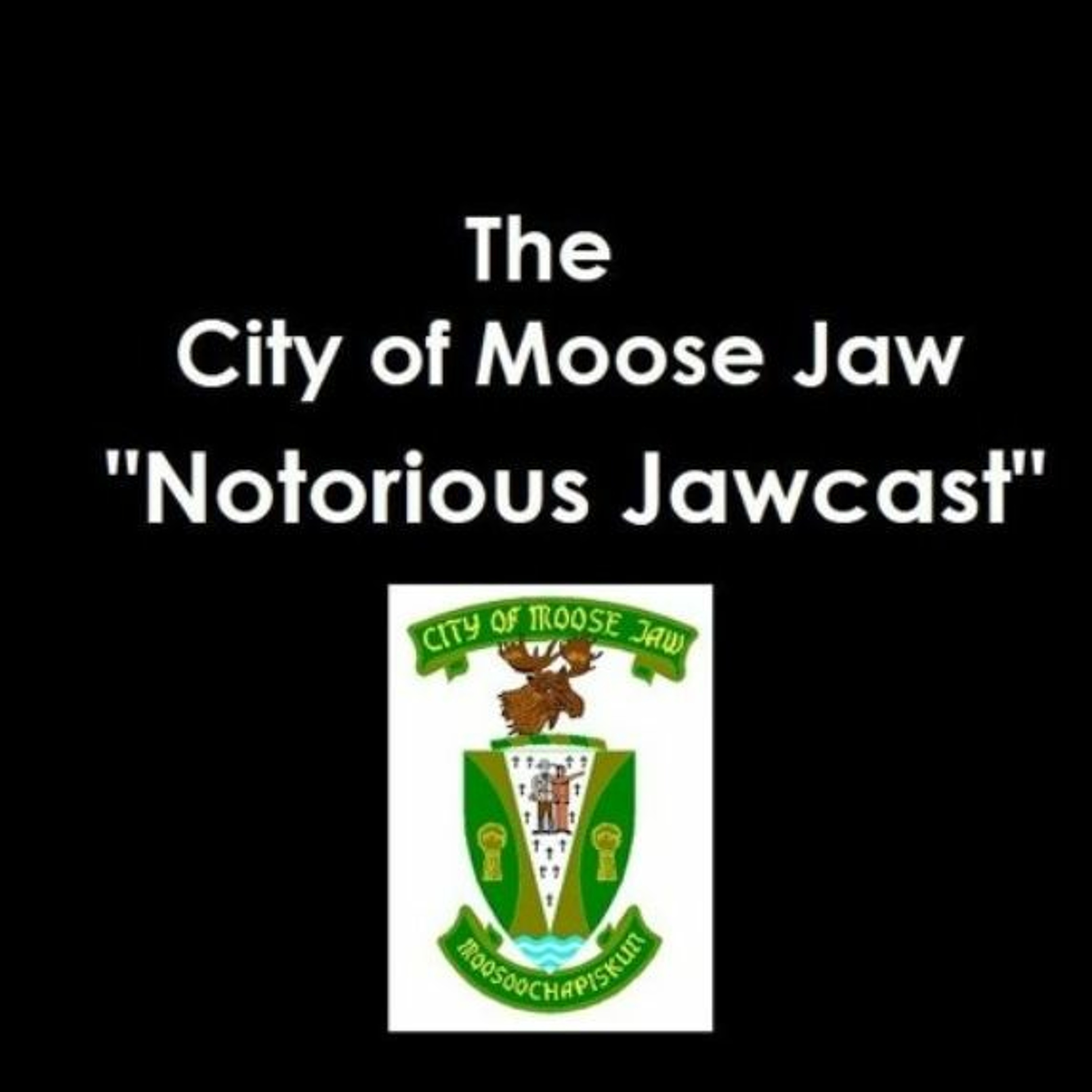 Notorious Jawcast Parks And Rec Month 2019