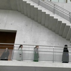 Workshop Voix et Textile Dans Le Paysage - Métamorphoses (fragment), La Kunsthalle, Mulhouse, 2019