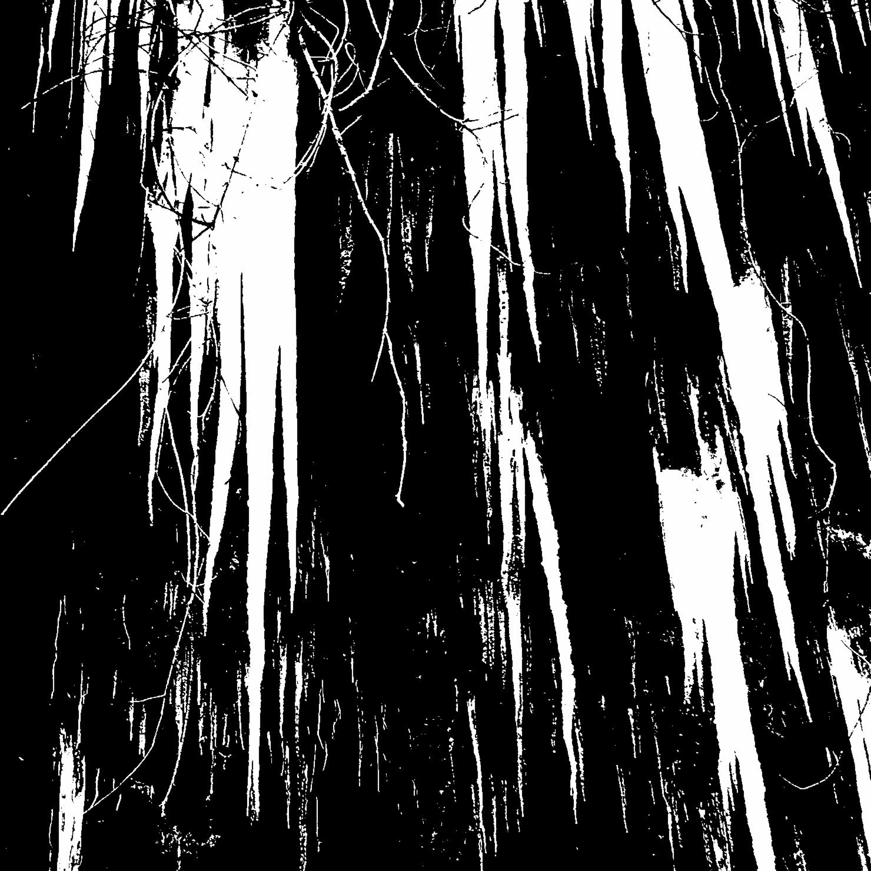 🗡 L⊗w Frɛquɛncy Stⓐbbɨng 🗡