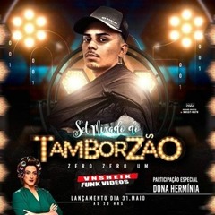 SET MIXADO TAMBORZÃO 001 DO VN SHEIK [ RITMINHO DO BAILE DE FAVELA ] PART DONA HERMINIA 2019