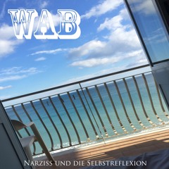 me cha nüt (mit m-real und dj rade)