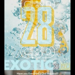 Make Way (Hook Only)