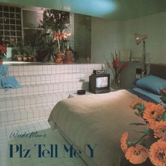 Weedie Mane - PlzTellMeY.