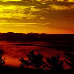 Impact (Prod. Donato)