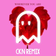 adam&steve - Whetever You Are (CKN remix)