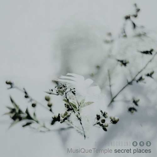 MusiQueTemple - Secret Places (Main Mix)