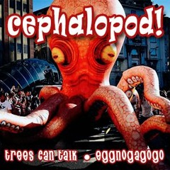 Cephalopod!