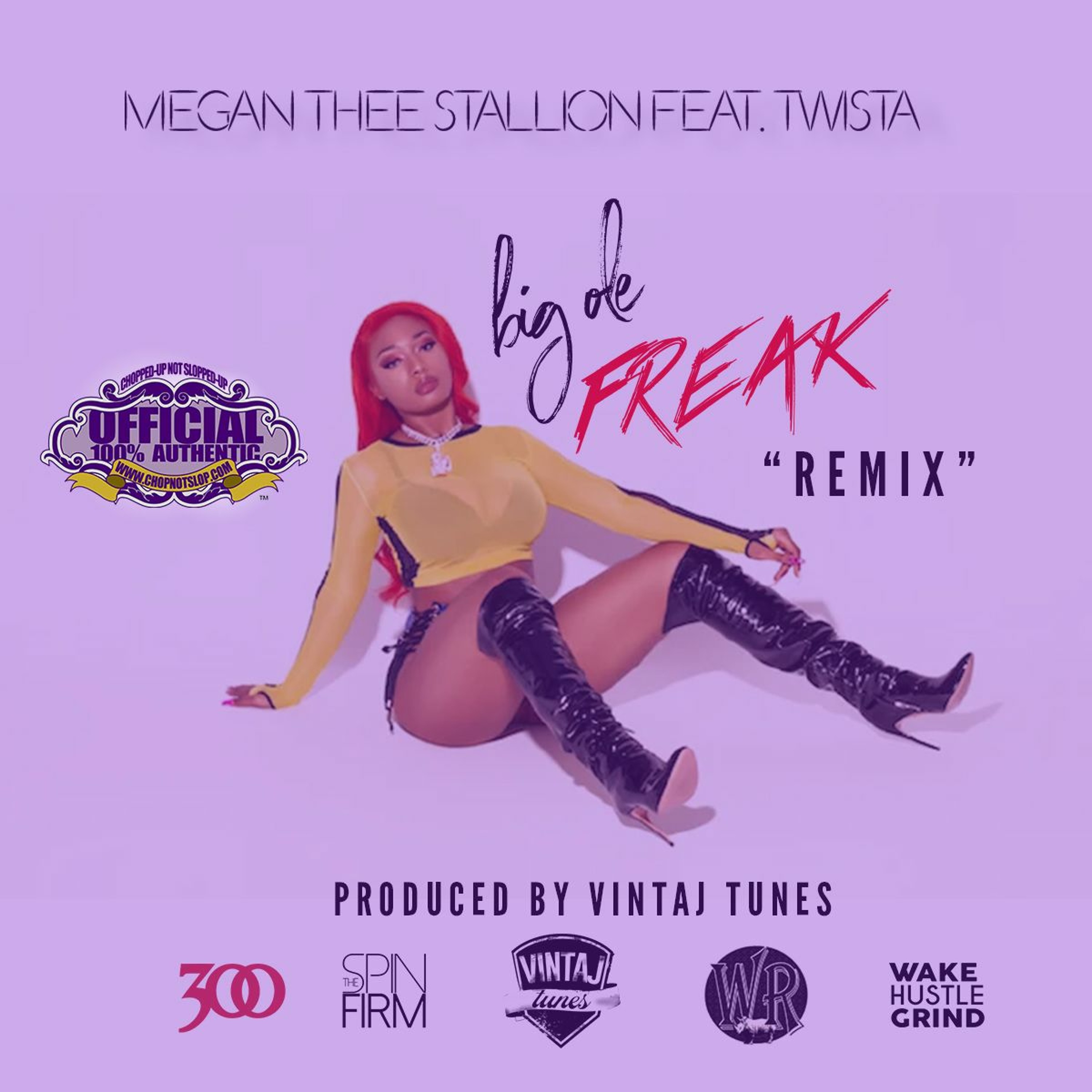 Big Ole Freak(Vintaj Tunes/OG Ron C Chopped Not Slopped Remix) - Megan Thee Stallion ft. Twista episode artwork
