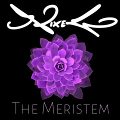 Nixego - The Meristem (Original Mix)