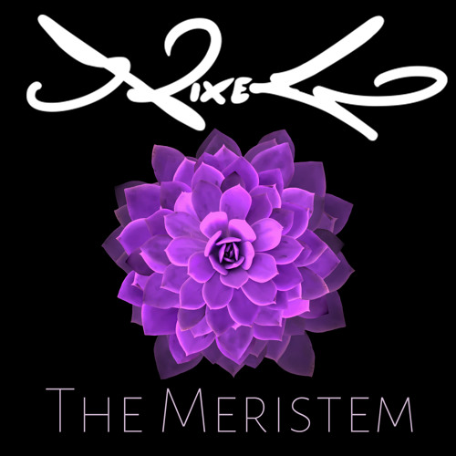 Nixego - The Meristem (Original Mix)