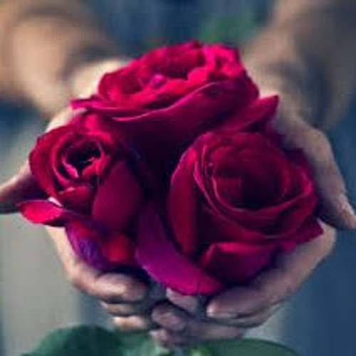 سورة الزمر .. تلاوه خاشعه القارئ عمر الدريويز