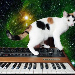 DeepCats Part 35 (La Musica Danza Electronica #3)