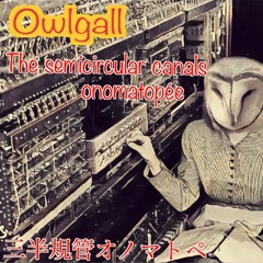 Owlgall−the semicircular canals onomatopée：三半規管オノマトペ