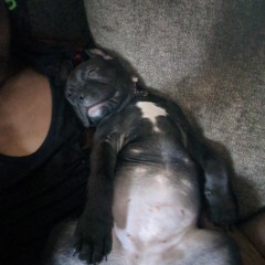 WhatItDo ft.Don Wavey