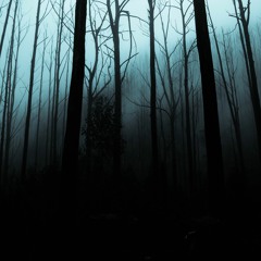 Lost In The Forest #1 (Dark Techno Set)