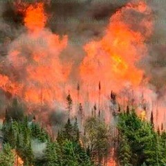 fire beats that inspire me