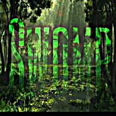 SWOMPOWNTHEBEAT-"Serenity"