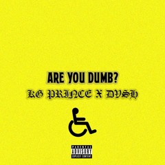 Are You Dumb ?- KG Prince X DVSH (prod RaeSam)VIDEO OUT NOW!