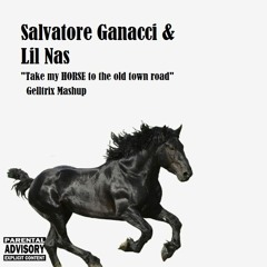 Salvatore Ganacci & Lil Nas - Take My HORSE To The Old Town Road (Gelltrix Mashup) FREE DOWNLOAD