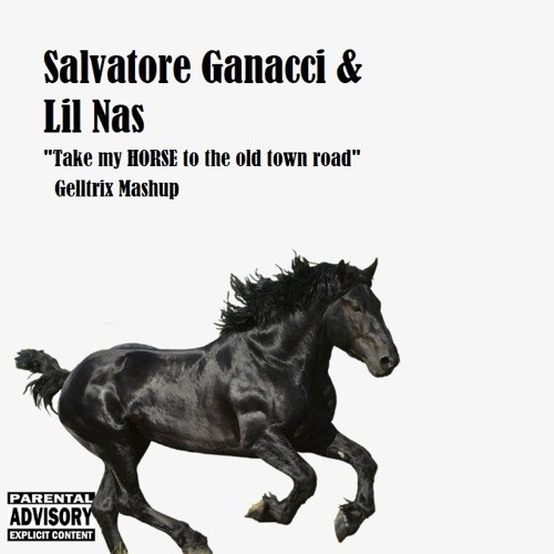Stream Salvatore Ganacci & Lil Nas - Take My HORSE To The Old Town Road  (Gelltrix Mashup) FREE DOWNLOAD by Gelltrix | Listen online for free on  SoundCloud