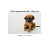 Ed Sheeran And Justin Bieber I Dont Care Ralf Alwin Bremen Remix Mp3