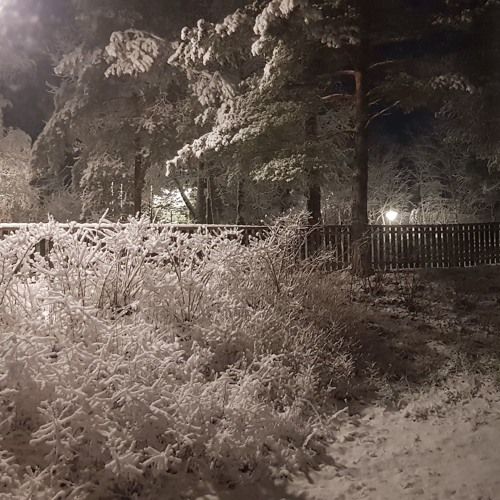 Christmas Eve In The Troll Glade