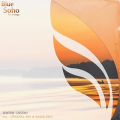 Sentien - Destiny (Original Mix) [PREVIEW]