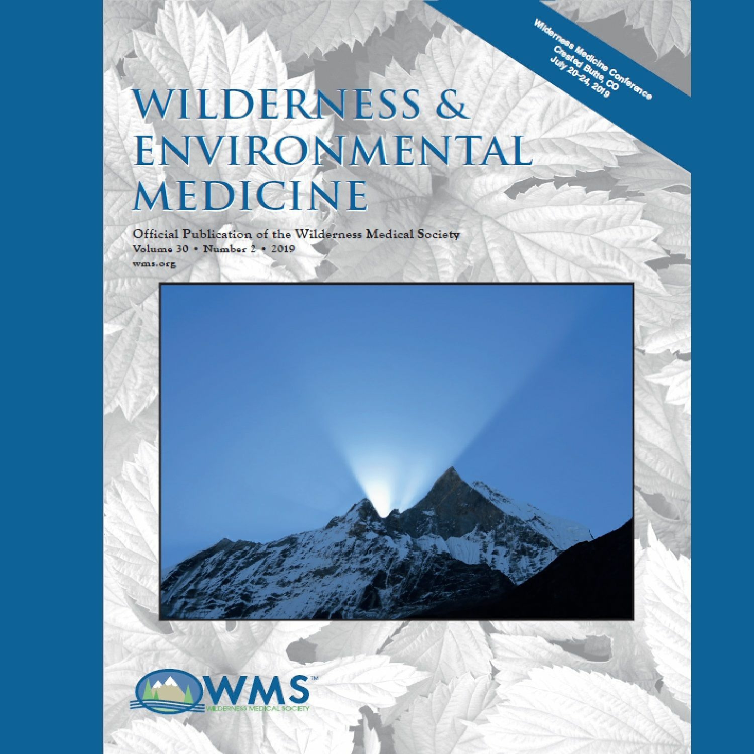 Wilderness Medicine Podcast