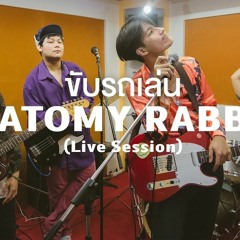 ANATOMY RABBIT - ขับรถเล่น (Live Session) I A Day