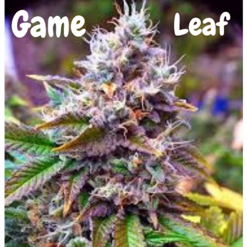 Game Leaf