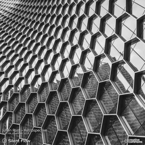 Julian Ross - Induction