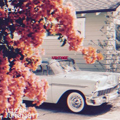 vintage
