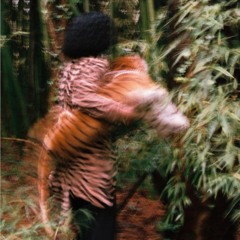 Twelve25 - The Spread