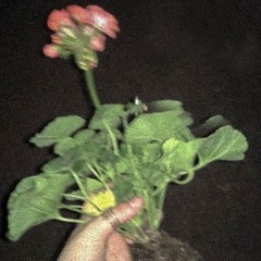 lost - prod. mvzonik