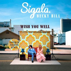 Sigala & Becky Hill - Wish You Well (Roberto Ferrari Remix)