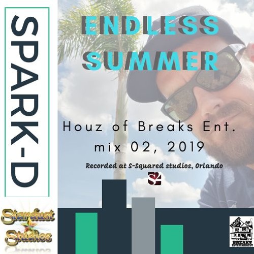 Endless Summer Mix